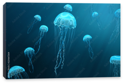 Голая медуза горгона (34 фото)