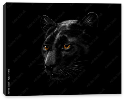 Красивые картинки черная пантера - 83 фото