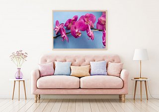 Artwall ru картины и постеры