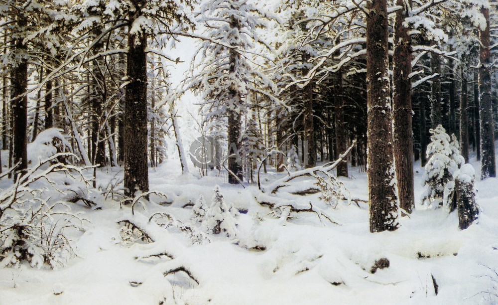 Картины Зима на холсте