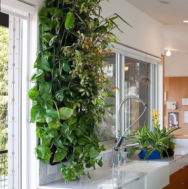 миниатюрный вертикальный сад на кухне