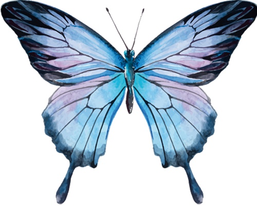 Голубые бабочки эстетика